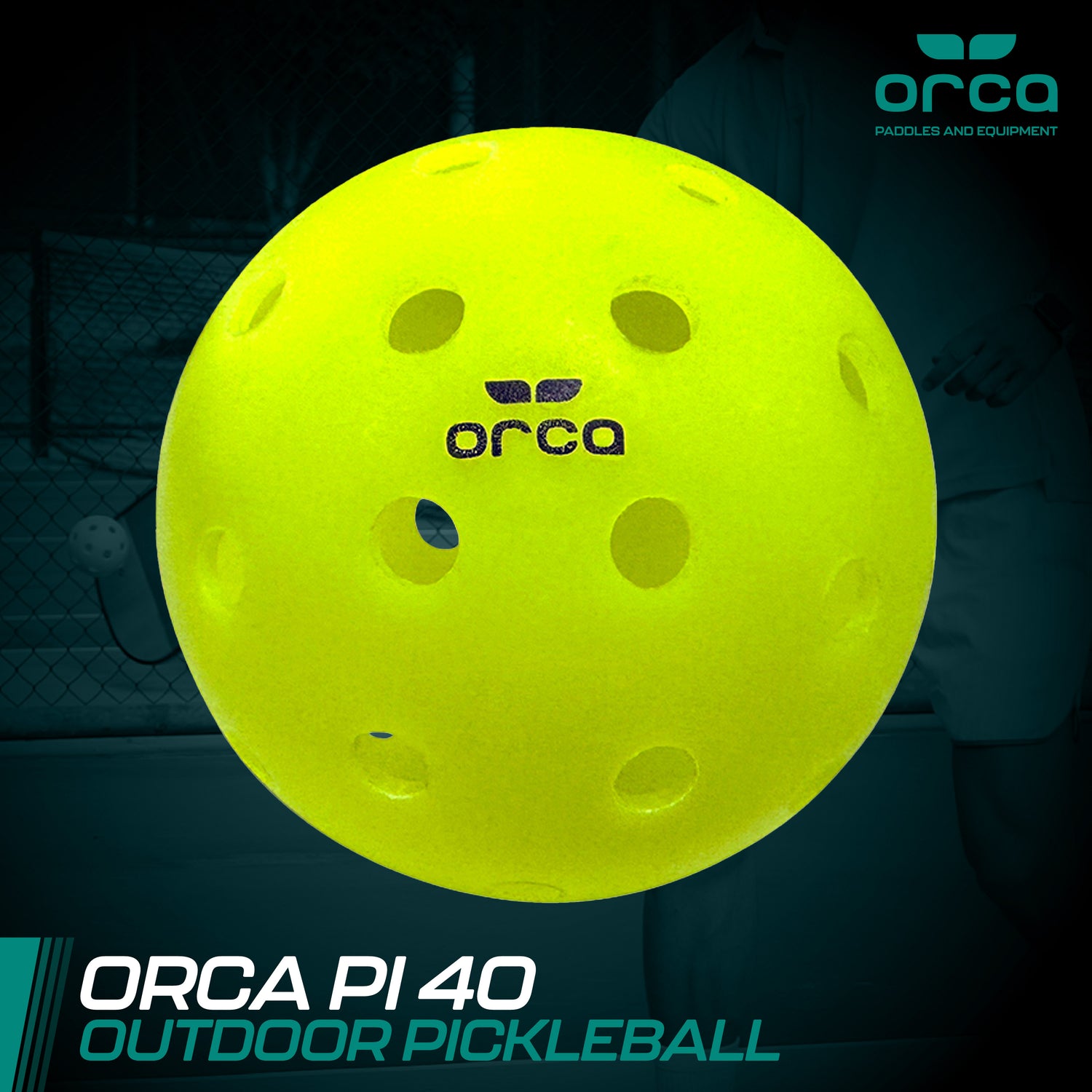 Orca Pic Outdoor Ball