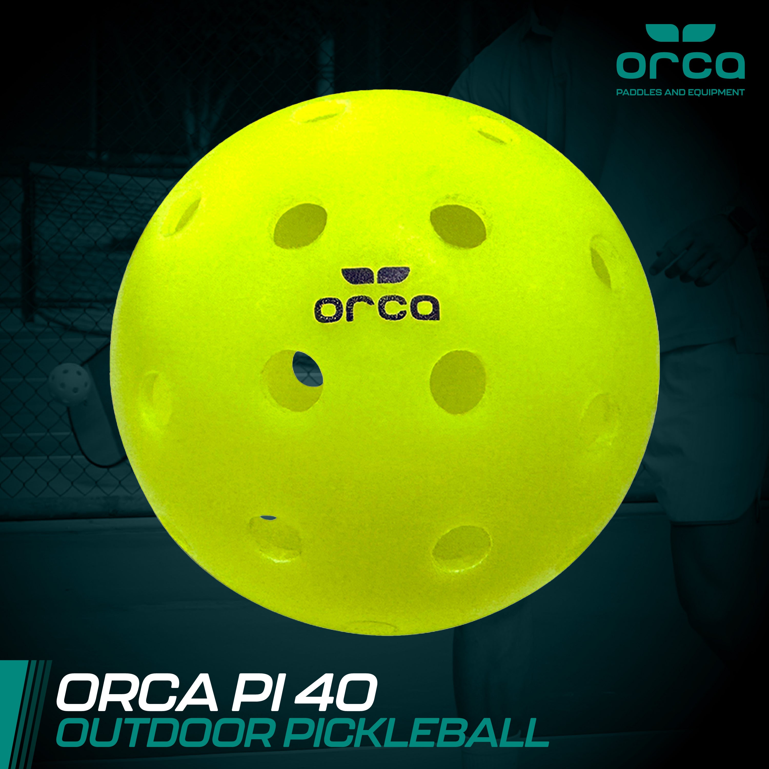 Orca Pic Outdoor Ball
